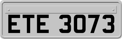 ETE3073