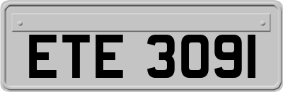 ETE3091