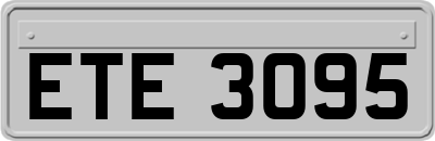 ETE3095