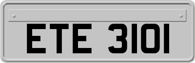 ETE3101