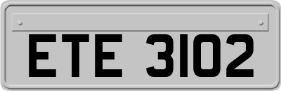 ETE3102