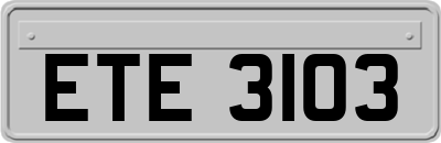 ETE3103