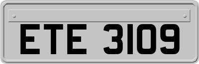 ETE3109