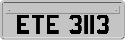 ETE3113