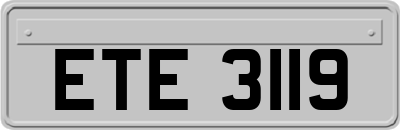 ETE3119