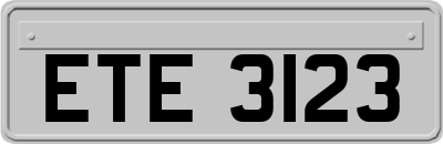 ETE3123