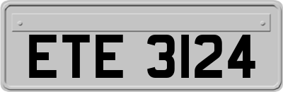 ETE3124