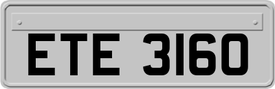 ETE3160