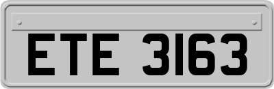 ETE3163