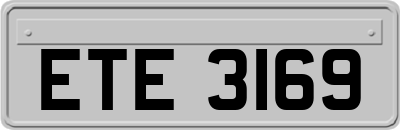 ETE3169