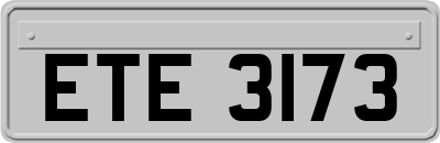ETE3173