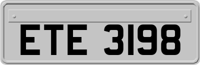 ETE3198