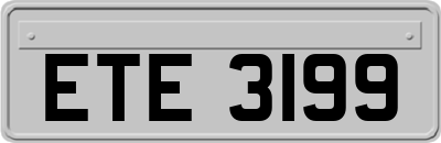 ETE3199