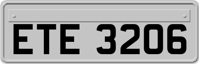 ETE3206