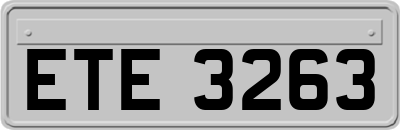 ETE3263