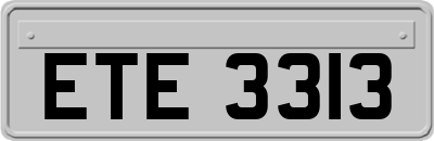 ETE3313
