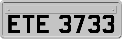 ETE3733