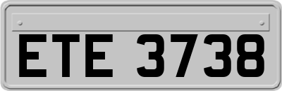 ETE3738