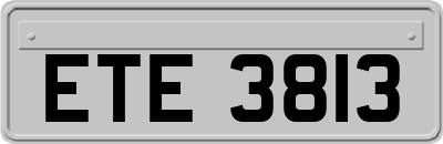 ETE3813