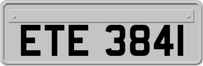 ETE3841