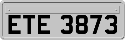 ETE3873