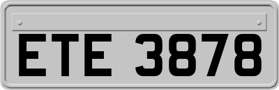 ETE3878