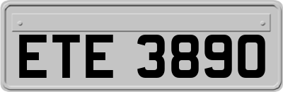 ETE3890