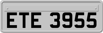 ETE3955