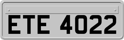 ETE4022
