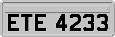 ETE4233