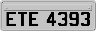 ETE4393
