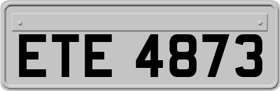 ETE4873