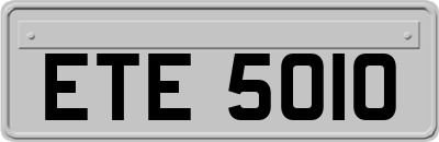 ETE5010