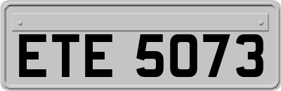 ETE5073
