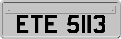 ETE5113