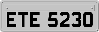 ETE5230
