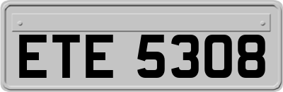 ETE5308