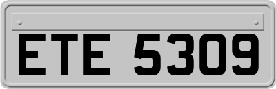 ETE5309