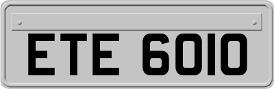 ETE6010