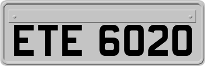 ETE6020
