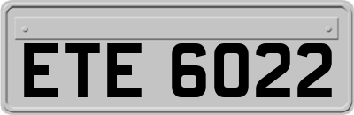 ETE6022
