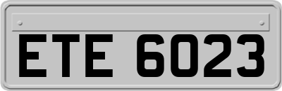ETE6023