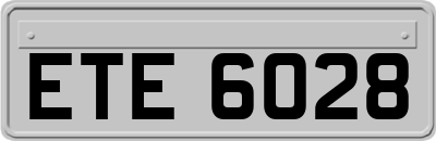 ETE6028