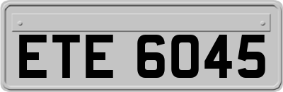 ETE6045