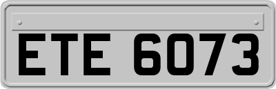 ETE6073