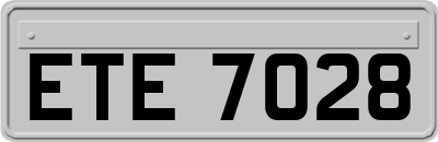 ETE7028