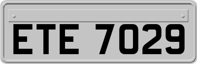 ETE7029