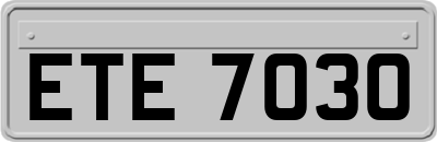ETE7030