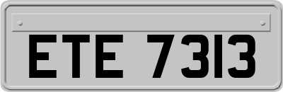 ETE7313