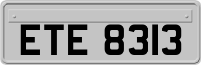 ETE8313